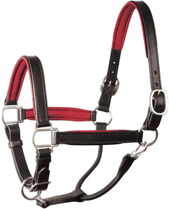 Classic Padded Leather Halter - Black/Red